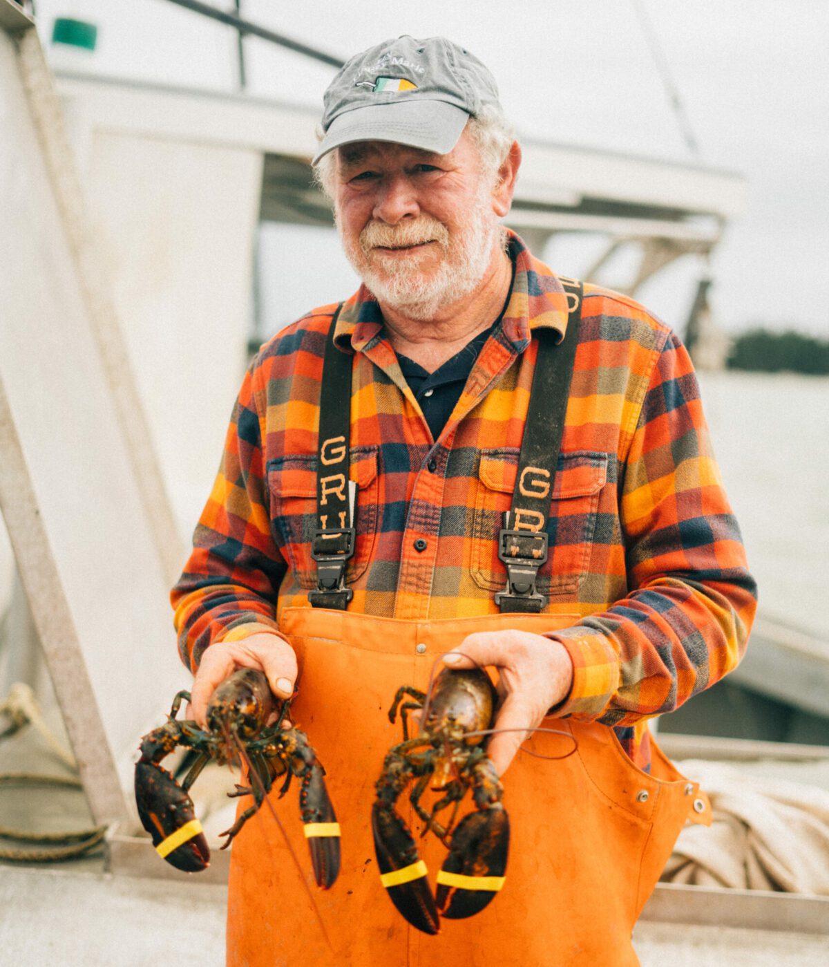A scallop farmer holding two lobsters.